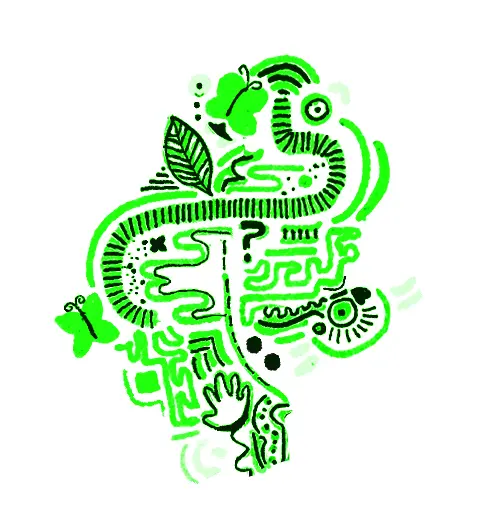 Illustration d'un enchevêtrement de lignes et de petits objets